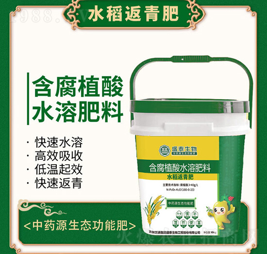 水稻返青專(zhuān)用含腐植酸水溶肥料-萬(wàn)通盛泰