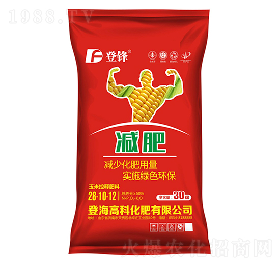 ���׿�ጷ���28-10-12-�Ƿ�