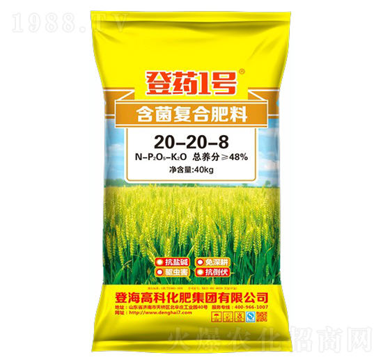 ��(f��)�Ϸ���20-20-8-��ˎ1̖-�Ƿ�