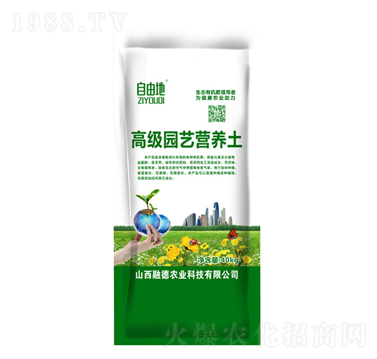 �߼�(j��)�@ˇ�I�B(y��ng)��-���ɵ�-�ڵ��r(n��ng)�I(y��)