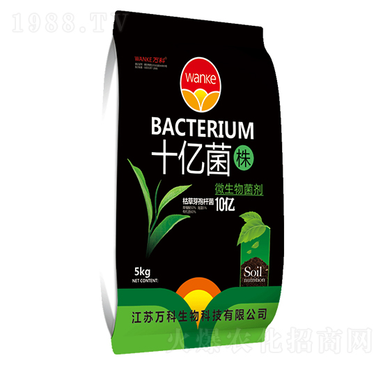 ʮ�|���꣨10�|����-�f(w��n)��