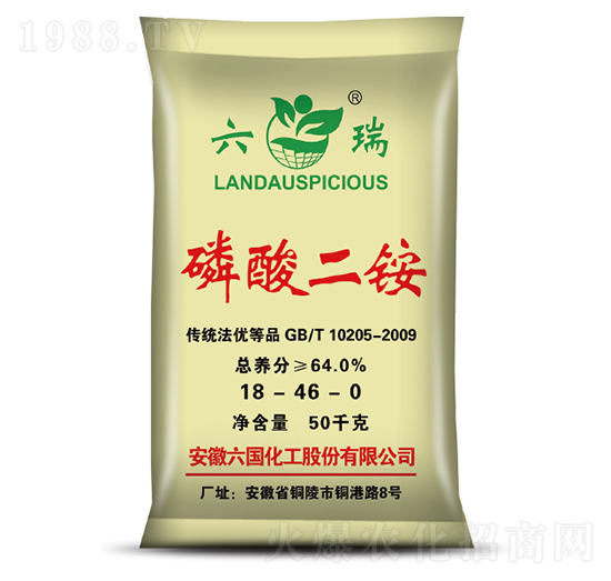 ������@-����-��������