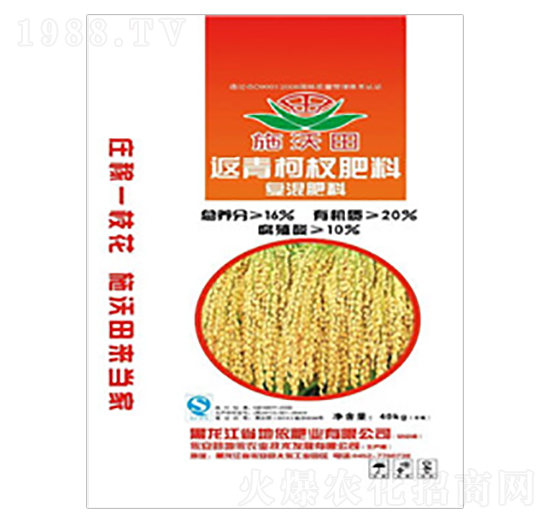 �����辏�(f��)�����-����-�����r(n��ng)�I(y��)