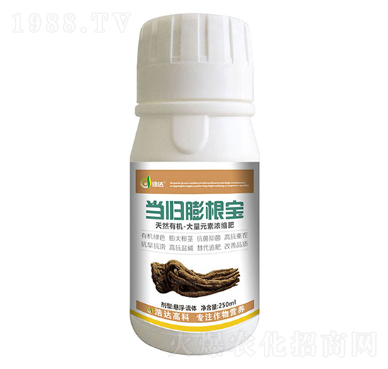 ���w�����-���_����