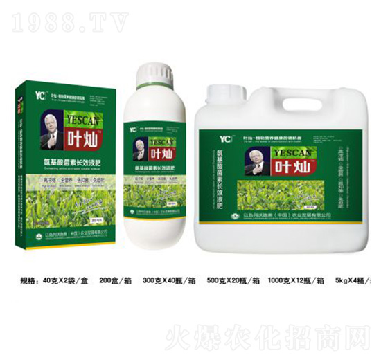 茶葉氨基酸菌素長效液肥-葉燦-德化