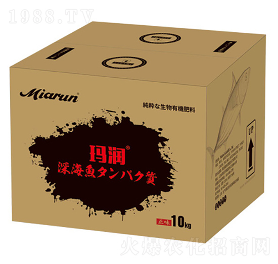 �ձ��M���~����-����-����