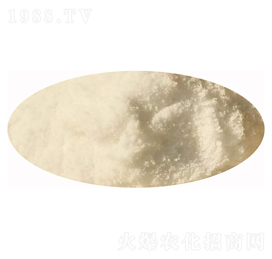 ��������-�l(f��)ؔ(c��i)��