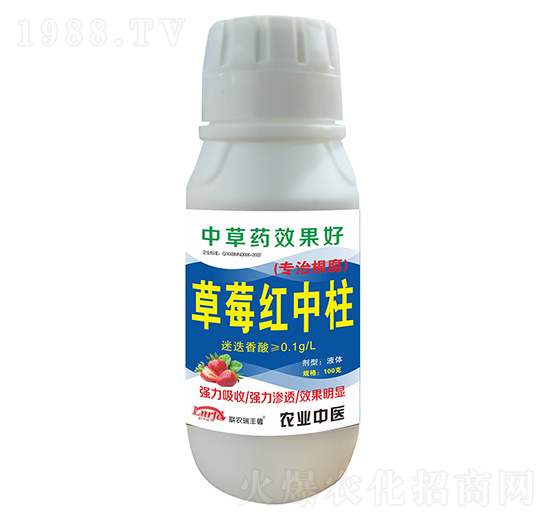 ��ݮ�t����-(li��n)�r(n��ng)���S��