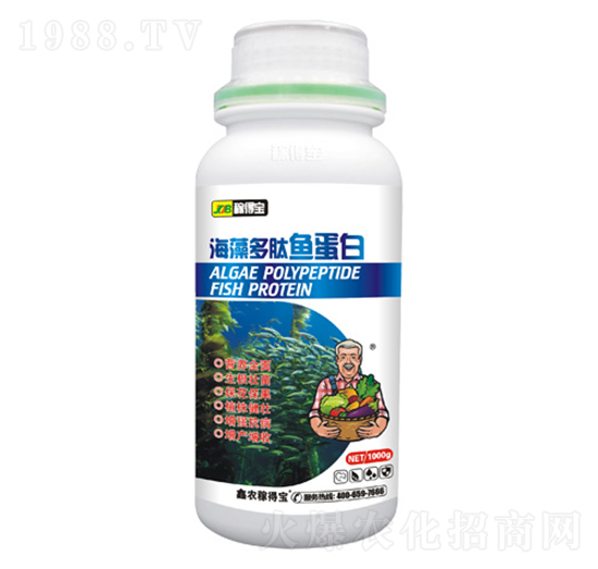 ��������~(y��)����-�ڵÌ�����