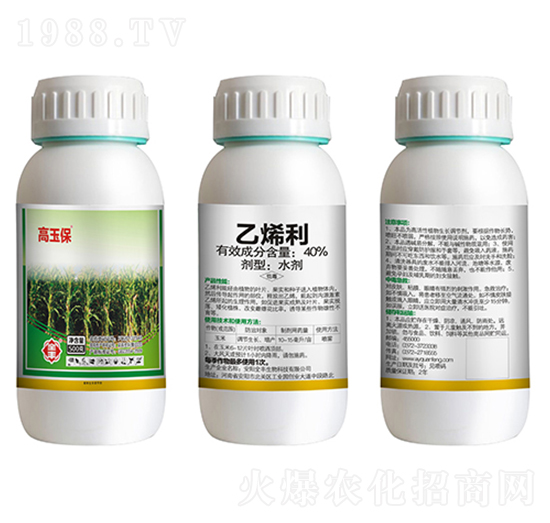 20g��ϩ��-����-ȫ�S