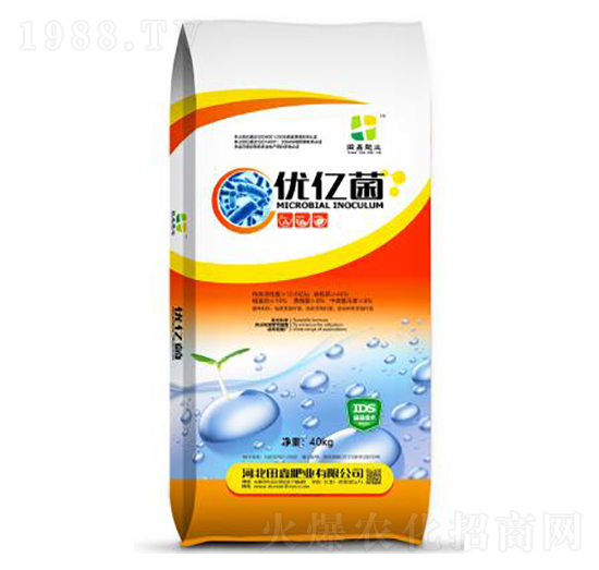 10�|��(y��u)�|��-���ηʘI(y��)