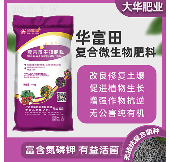 �ͺ�΢�������-�A����-���A����