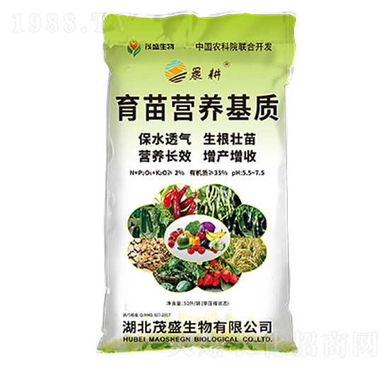 ����I(y��ng)�B(y��ng)���|(zh��)-����-ïʢ����