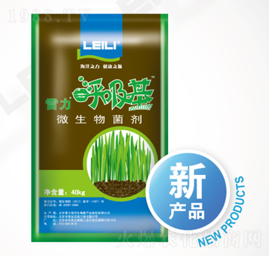 ΢�������-����������-��������