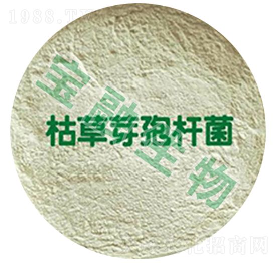 �ݲ�ѿ�ߗU��-��������