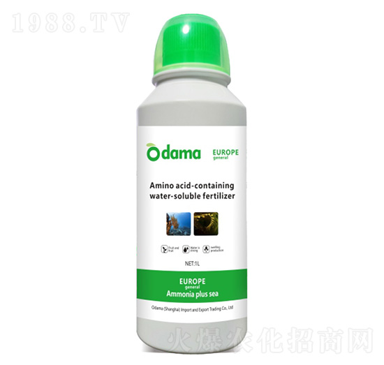 歐譜氨加海-歐道麥