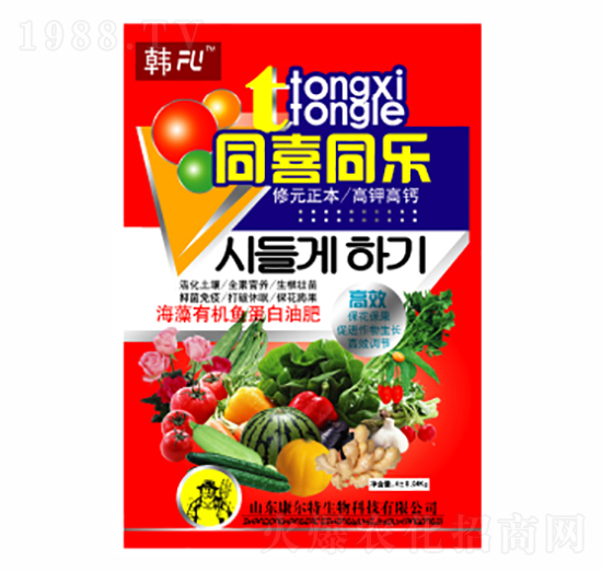 同喜同樂-康爾特