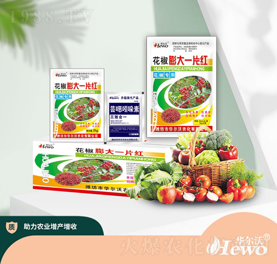 花椒膨大一片紅-華爾沃