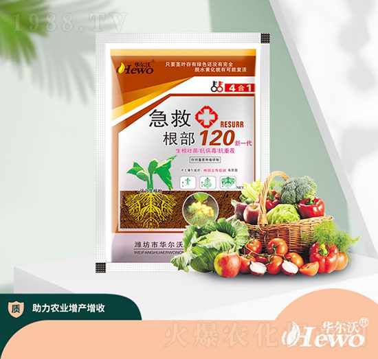 急救根部120-華爾沃