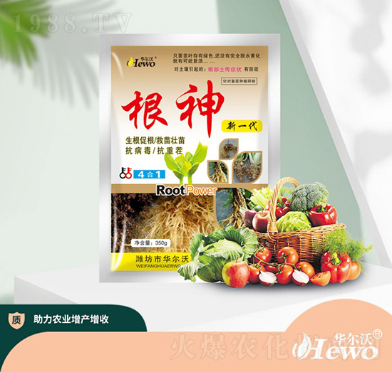 根神（新一代）-華爾沃