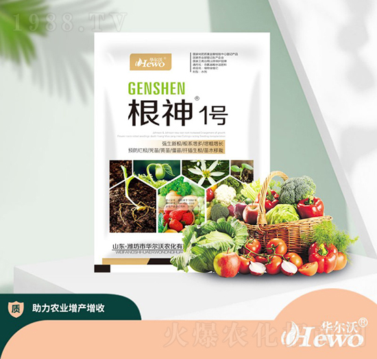 根神1號-華爾沃