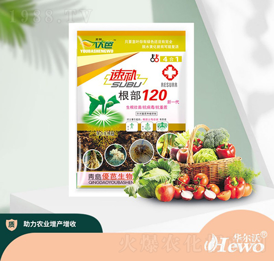 速補根部120-華爾沃