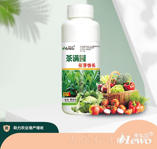 茶滿園催芽快長-華爾沃