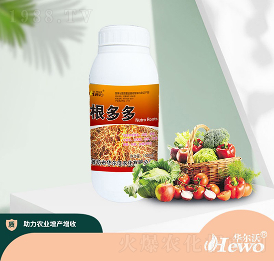 根多多（瓶）-華爾沃