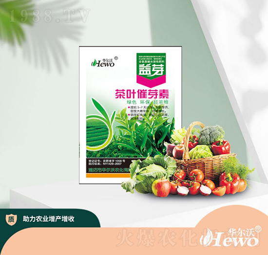 茶葉催芽素-華爾沃