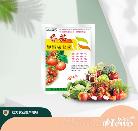 番茄靚果膨大素-華爾沃