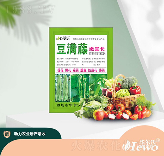 豆?jié)M藤嫩直長(zhǎng)-華爾沃