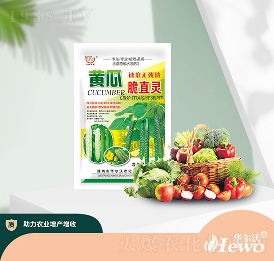 黃瓜翠直靈-華爾沃