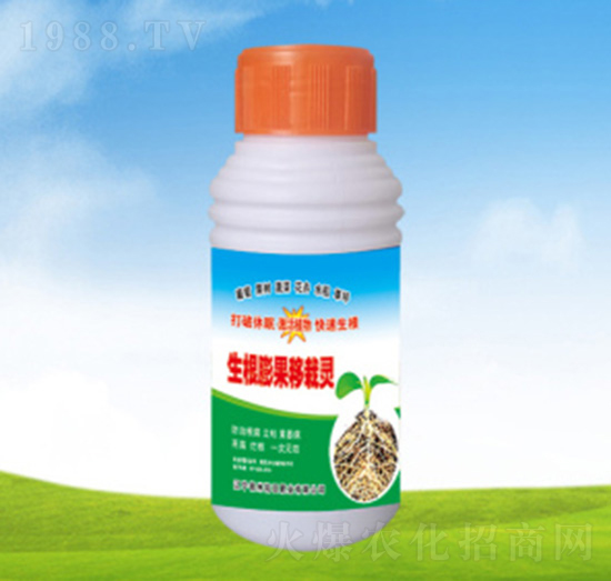 生根膨果移栽靈-康特爾農(nóng)化