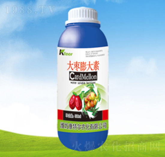 大棗膨大素-康特爾農化