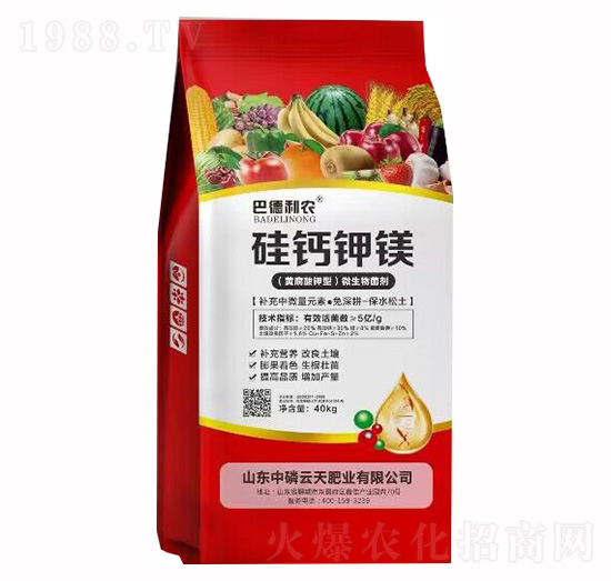 ���}��V-�͵����r(n��ng)-��������