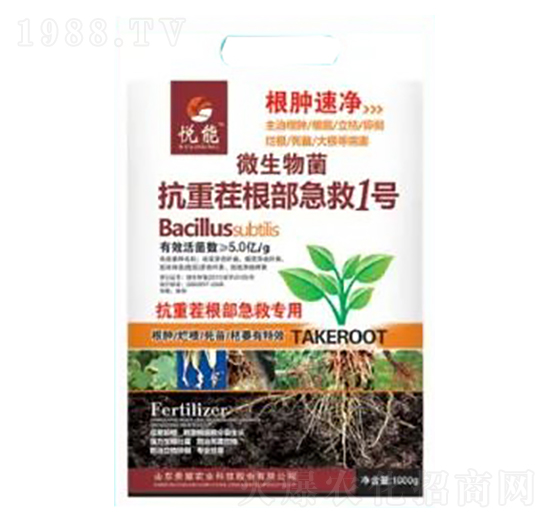 ���ز��������1̖-���[�ك�-�sҫ�r�I(y��)