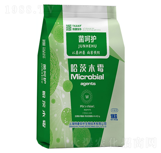 �����o(h��)������ľù-�ؿ�����