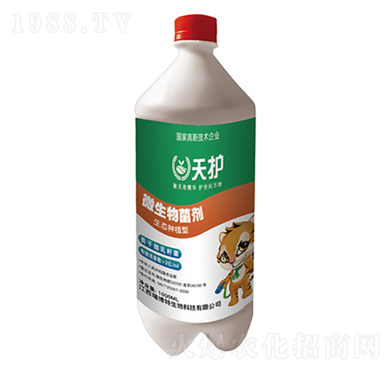 ΢�������-���o-�|���r�ʘI(y��)