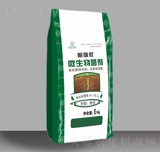 ΢�������-������-�G�����