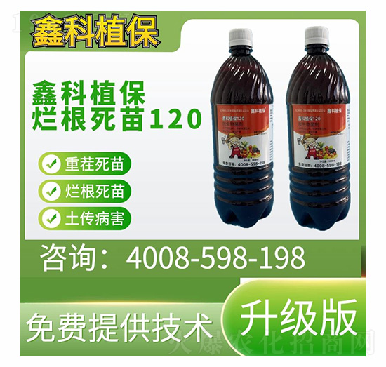 ����(j��)�栀������120-�ο�ֲ��