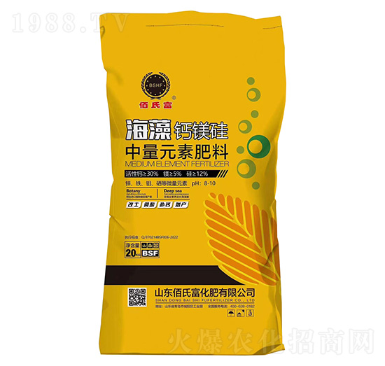 �����}�V������Ԫ�ط���-���ϸ�-���r