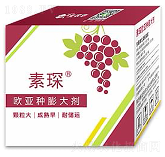 �W���N�����-���-���r�A