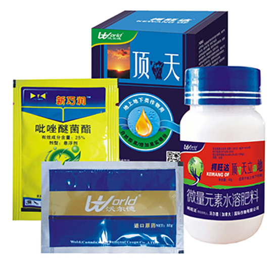 �����ѹ���������a�ײ�-�����_-�֠����r�I(y��)