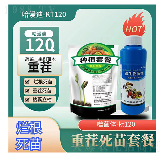 �ز������ײ�-������-�ο�ֲ��