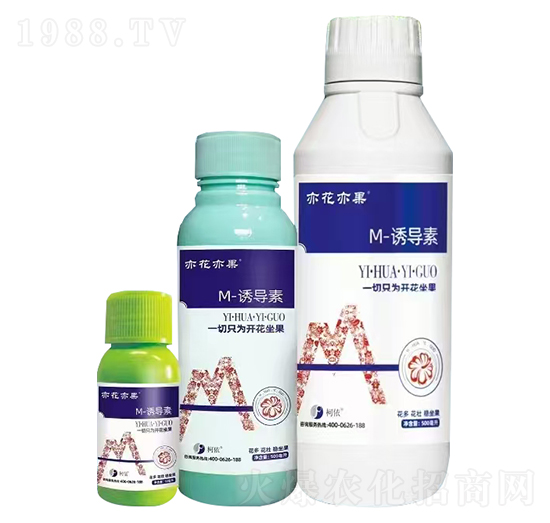 M-�T��(d��o)��-�໨���-����֮�G