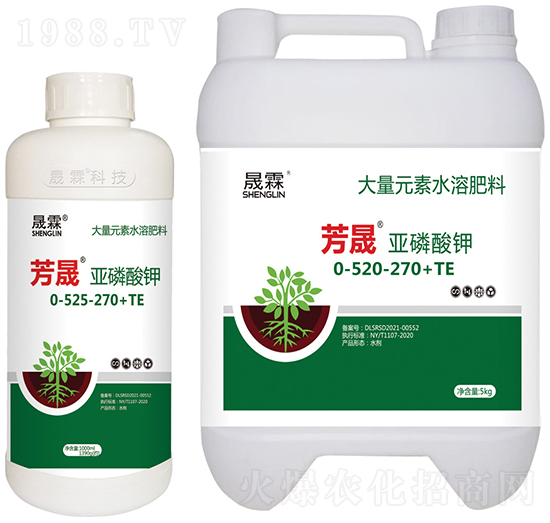 ���ɡ��������0-520-270+TE-��������