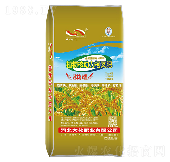 氨基植物核動力柯叉肥-大化肥業(yè)