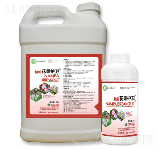 楠帕花果護(hù)衛(wèi)-耕道