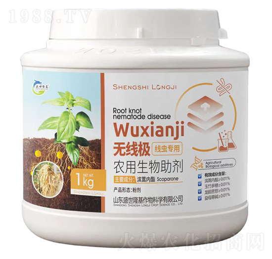 �o���O���x����-ʢ��¡��