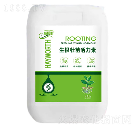 �������������-�����S-��������